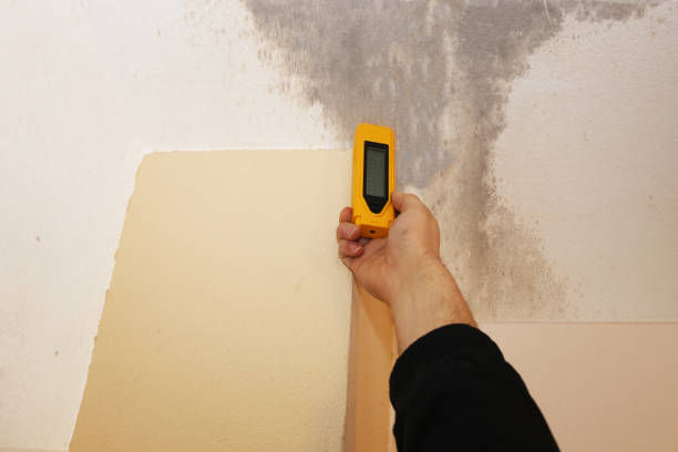 Best Asbestos and Lead Testing During Mold Inspection  in Adairsville, GA
