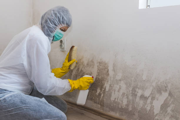 Best HVAC Mold Inspection and Cleaning  in Adairsville, GA