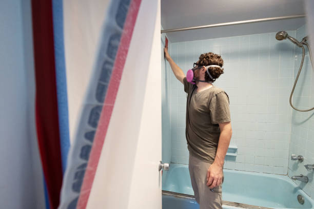 Best Emergency Mold Remediation  in Adairsville, GA