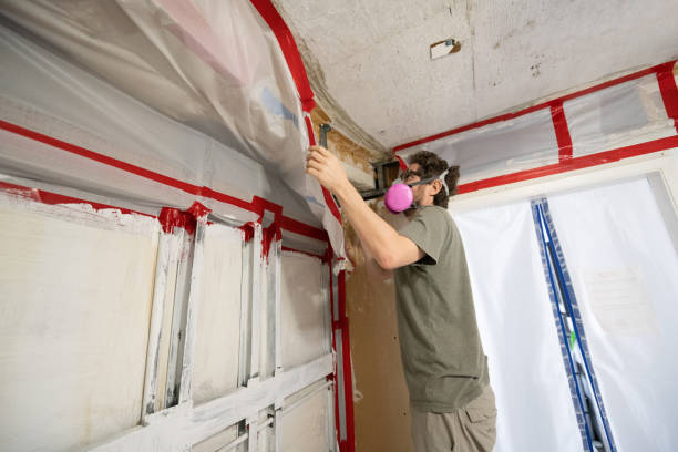 Best Residential Mold Inspection & Testing  in Adairsville, GA