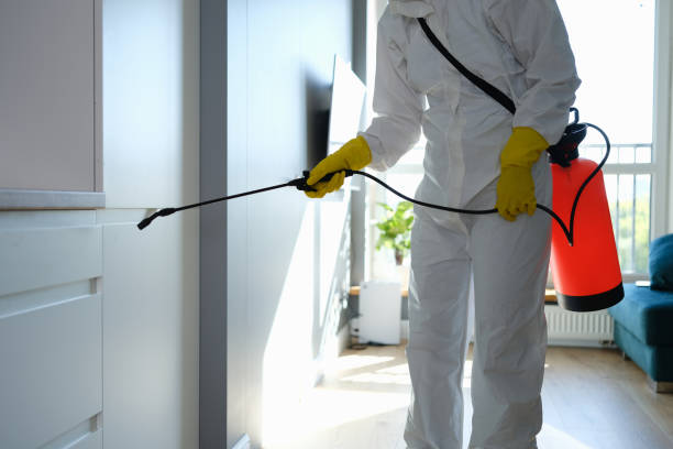 Best Environmental Consulting for Mold Prevention  in Adairsville, GA