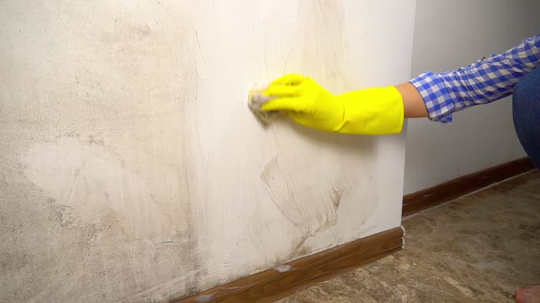 Best Forensic Mold Investigation  in Adairsville, GA