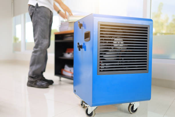 Best Mold Removal for HVAC Installations  in Adairsville, GA